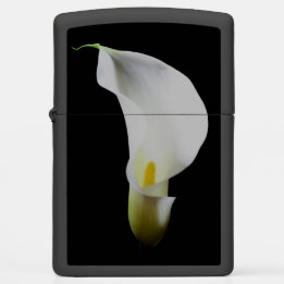 Portrait Of A Calla Lily