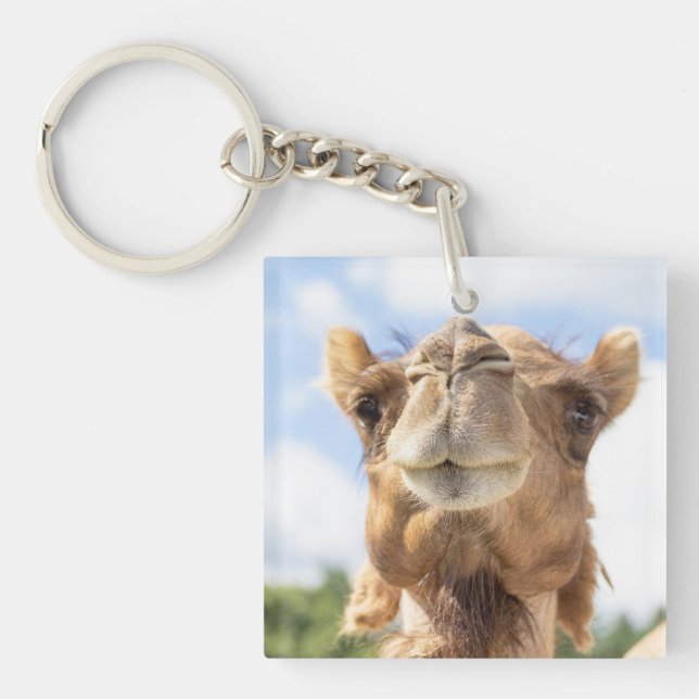 Portrait of a Camel Keychain (Front)