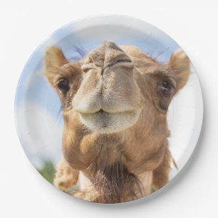 Portrait of a Camel Paper Plate