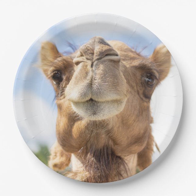 Portrait of a Camel Paper Plate (Front)