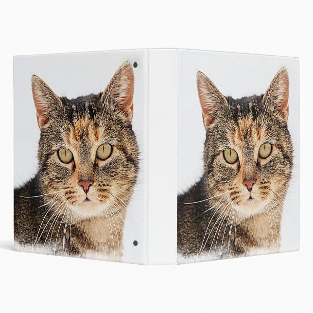 Portrait of a cat binder (Background)