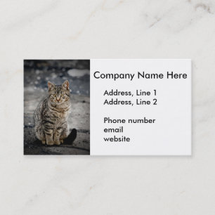 Portrait of a cat business card