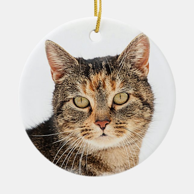 Portrait of a cat ceramic ornament (Front)