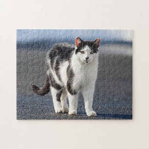 Portrait of a cat jigsaw puzzle