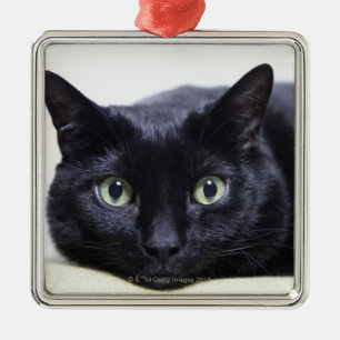 Portrait of a Cat Metal Ornament