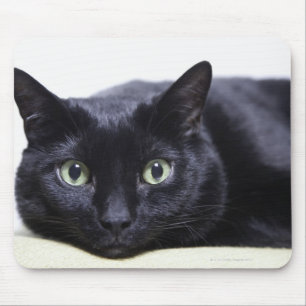 Portrait of a Cat Mouse Pad