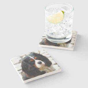 Portrait Of A Cavalier King Charles Spaniel Stone Coaster