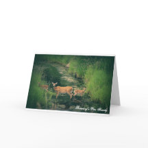 Portrait of a Deer Family