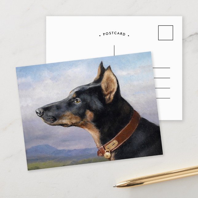Portrait of a Doberman | Carl Reichert Postcard (Creator Uploaded)