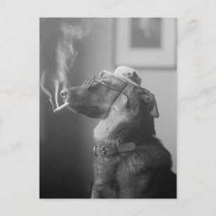Portrait of a Dog, 1923 Postcard