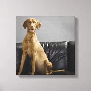 Portrait of a dog canvas print