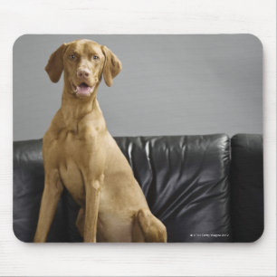 Portrait of a dog mouse pad