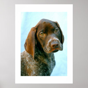 Portrait of a dog poster