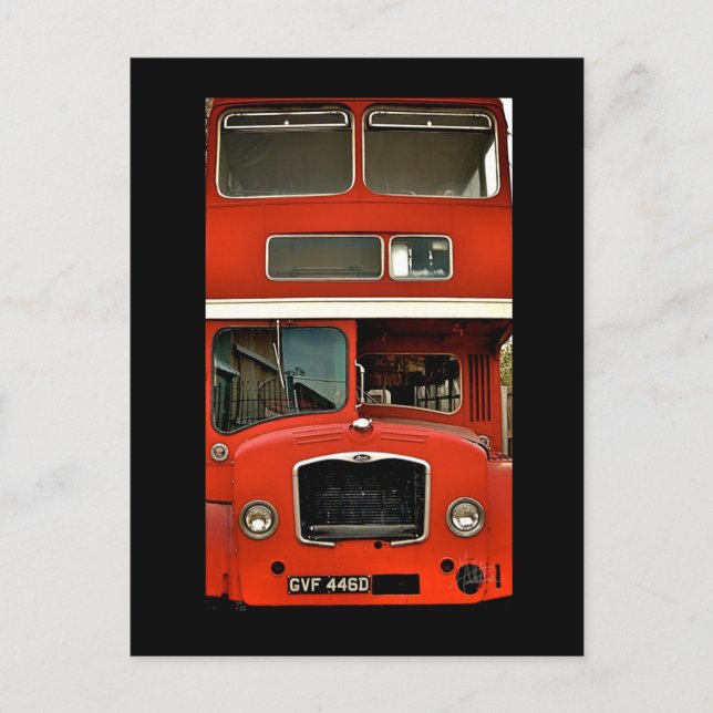 Portrait of a Double Decker [Postcard] Postcard (Front)