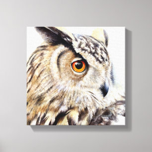 Portrait of a eagle owl boxed canvas print