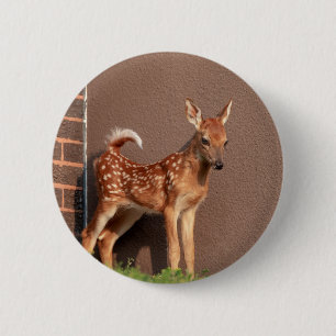 Portrait of a Fawn (white-tailed deer) 2 Inch Round Button