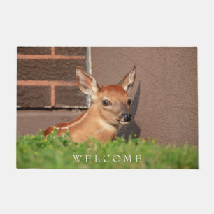 Portrait of a Fawn (white-tailed deer) Doormat
