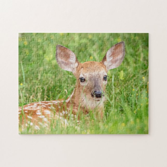Portrait of a Fawn (white-tailed deer) Jigsaw Puzzle (Horizontal)