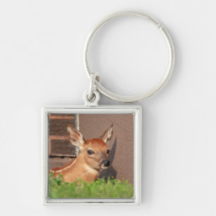 Portrait of a Fawn (white-tailed deer) Keychain