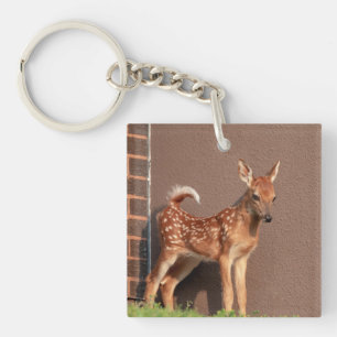 Portrait of a Fawn (white-tailed deer) Keychain