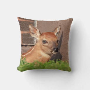 Portrait of a Fawn (white-tailed deer) Throw Pillow