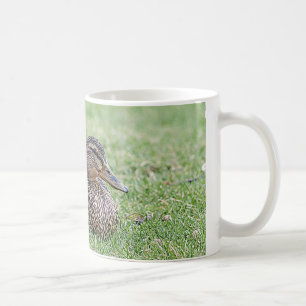 Portrait of a female mallard coffee mug