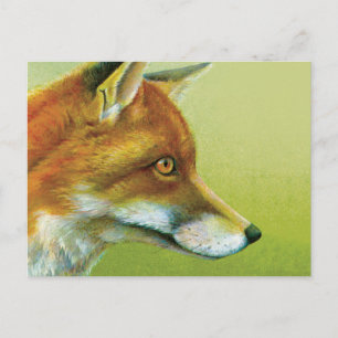 Portrait of a fox fine art postcard