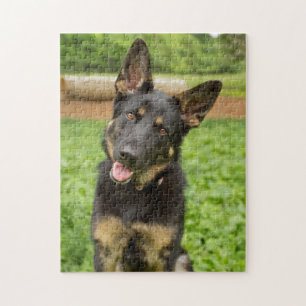 Portrait of a German Shepherd Jigsaw Puzzle