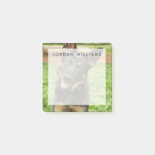 Portrait of a German Shepherd Post-it Notes