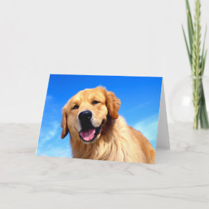 Portrait of a Golden Retriever Holiday Card