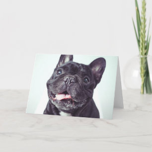 Portrait of a Happy French Bulldog Card