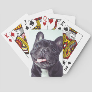 Portrait of a Happy French Bulldog Playing Cards