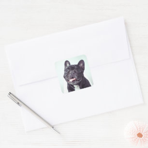 Portrait of a Happy French Bulldog Square Sticker
