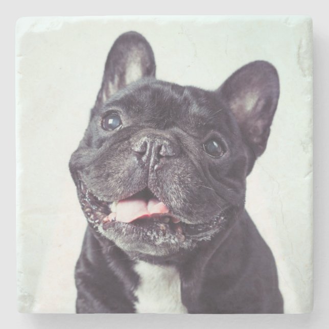 Portrait of a Happy French Bulldog Stone Coaster (Front)