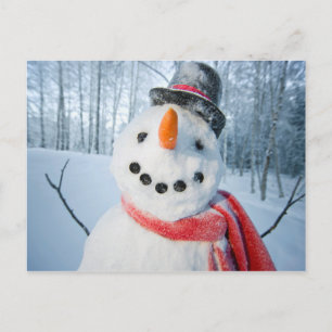 Portrait of a Happy Snowman Holiday Postcard