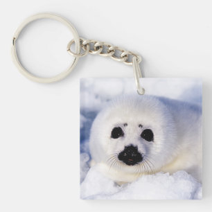 Portrait of a Harp Seal Pup Keychain