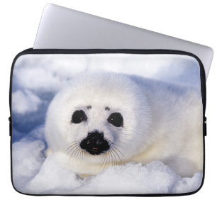 Portrait of a Harp Seal Pup Laptop Sleeve