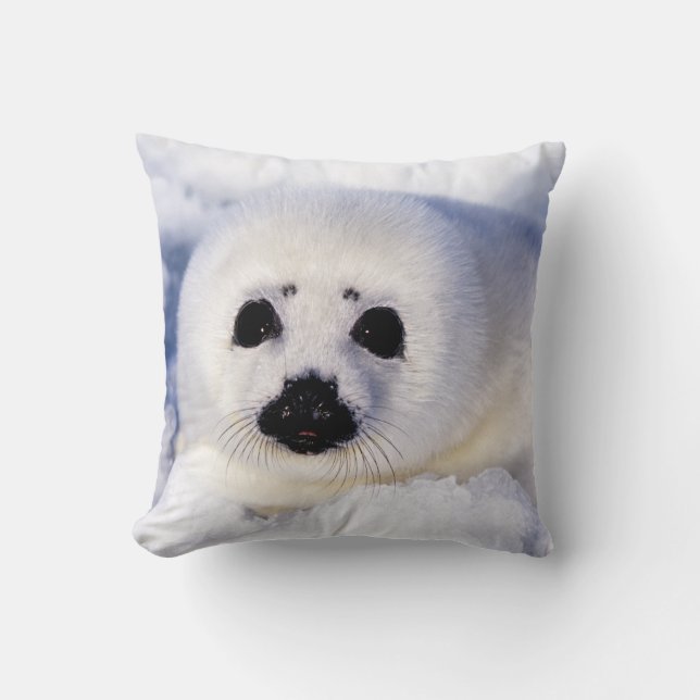 Portrait of a Harp Seal Pup Throw Pillow (Front)