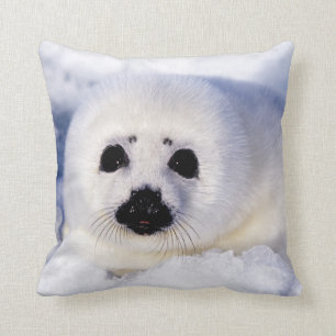 Portrait of a Harp Seal Pup Throw Pillow