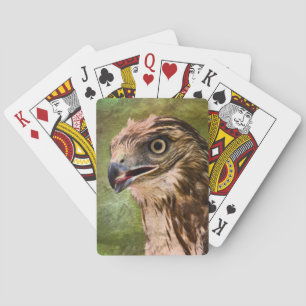 Portrait of a Hawk Playing Cards