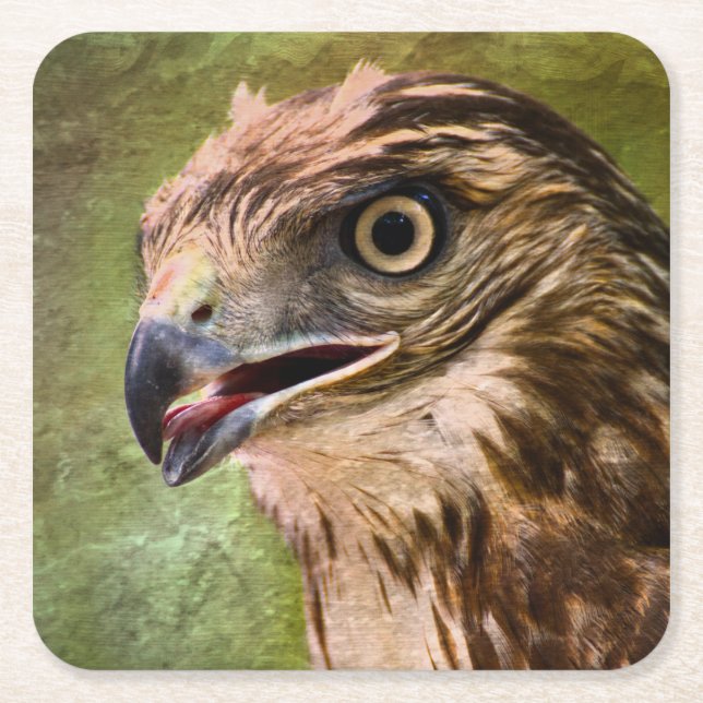 Portrait of a Hawk Square Paper Coaster (Front)