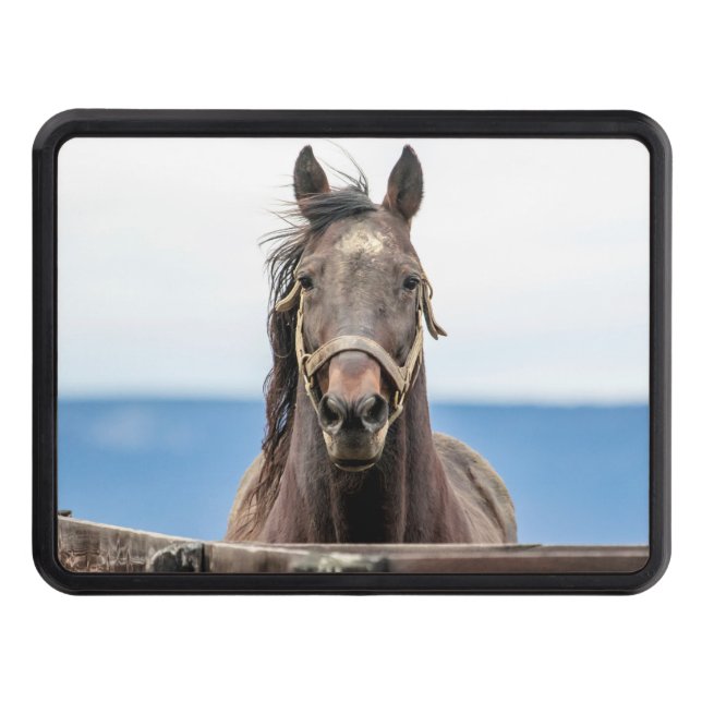 Portrait of a horse trailer hitch cover (Front)