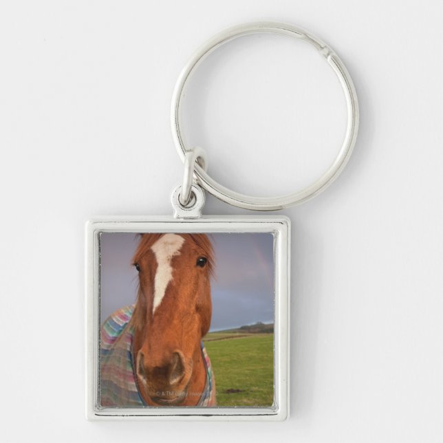 Portrait Of A Horse With A Rainbow In The Sky Keychain (Front)