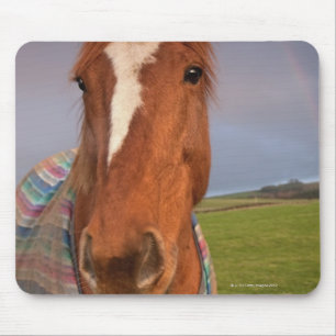 Portrait Of A Horse With A Rainbow In The Sky Mouse Pad
