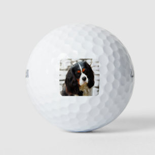 Portrait Of A King Charles Cavalier Spaniel Golf Balls
