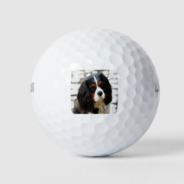 Portrait Of A King Charles Cavalier Spaniel Golf Balls (Front)