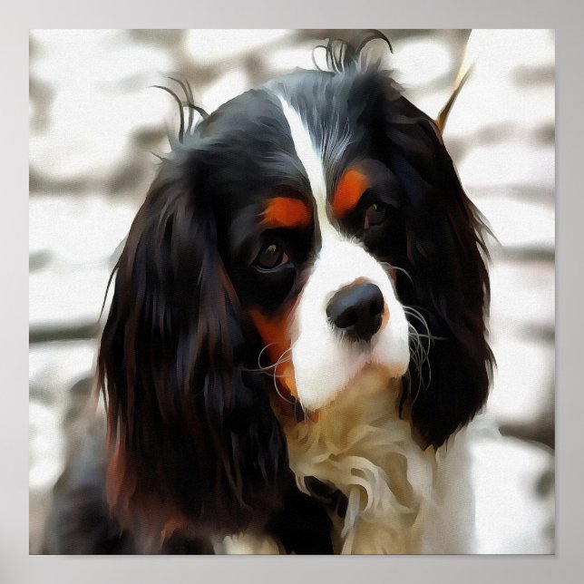 Portrait Of A King Charles Cavalier Spaniel Poster (Front)