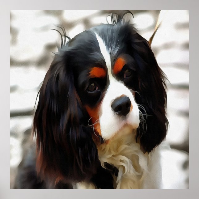 Portrait Of A King Charles Cavalier Spaniel Poster (Front)