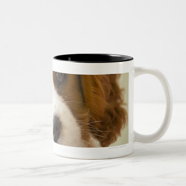 Portrait of a King Charles Spaniel puppy Two-Tone Coffee Mug (Right)