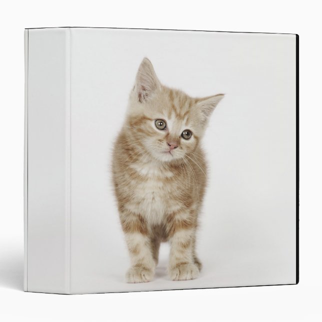 Portrait of a kitten binder (Front/Spine)